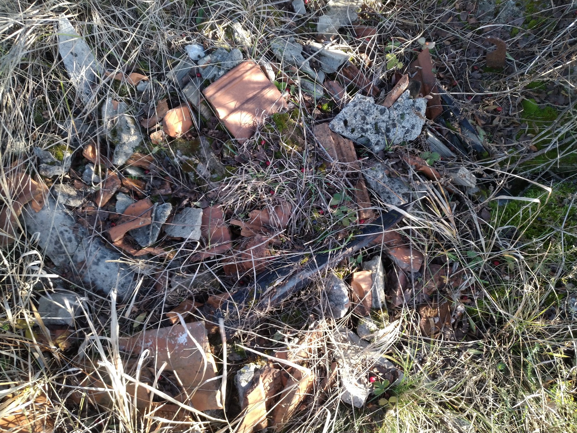 Avenul Debutului (Avenul Scheletelor) - Image 4